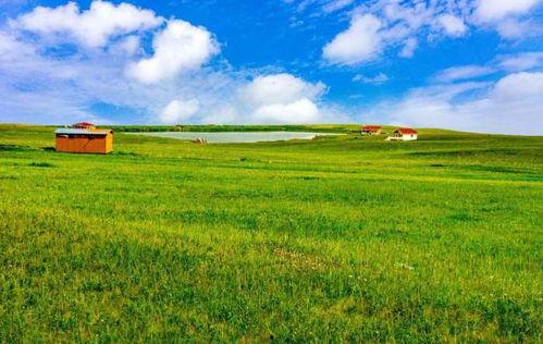 青草原国产,探寻神秘草原帝国的历史足迹